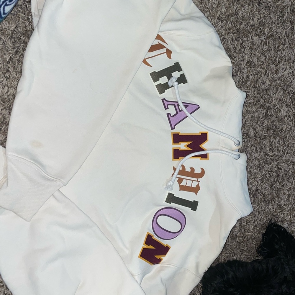 Cropped champion hoodie